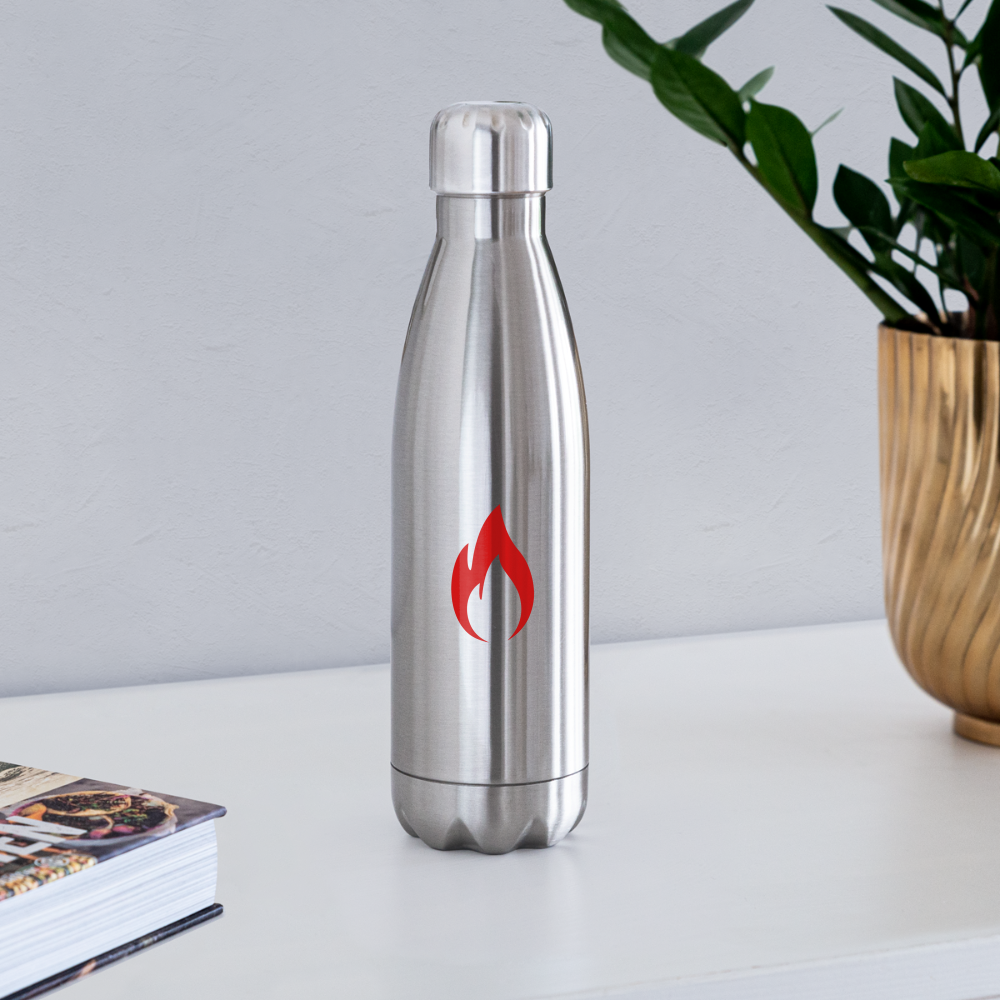 Insulated Stainless Steel Water Bottle - silver