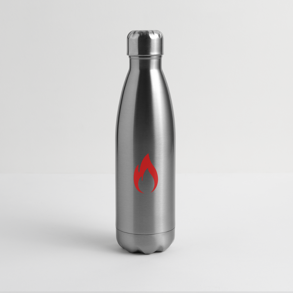 Insulated Stainless Steel Water Bottle - silver